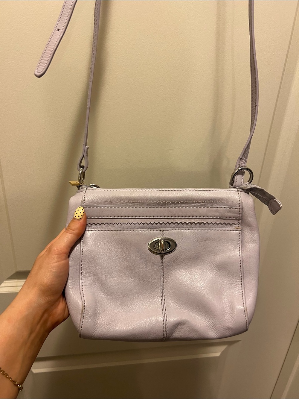 Danier Leather Classic Lilac Crossbody Bag - Women's Shoulder Purse